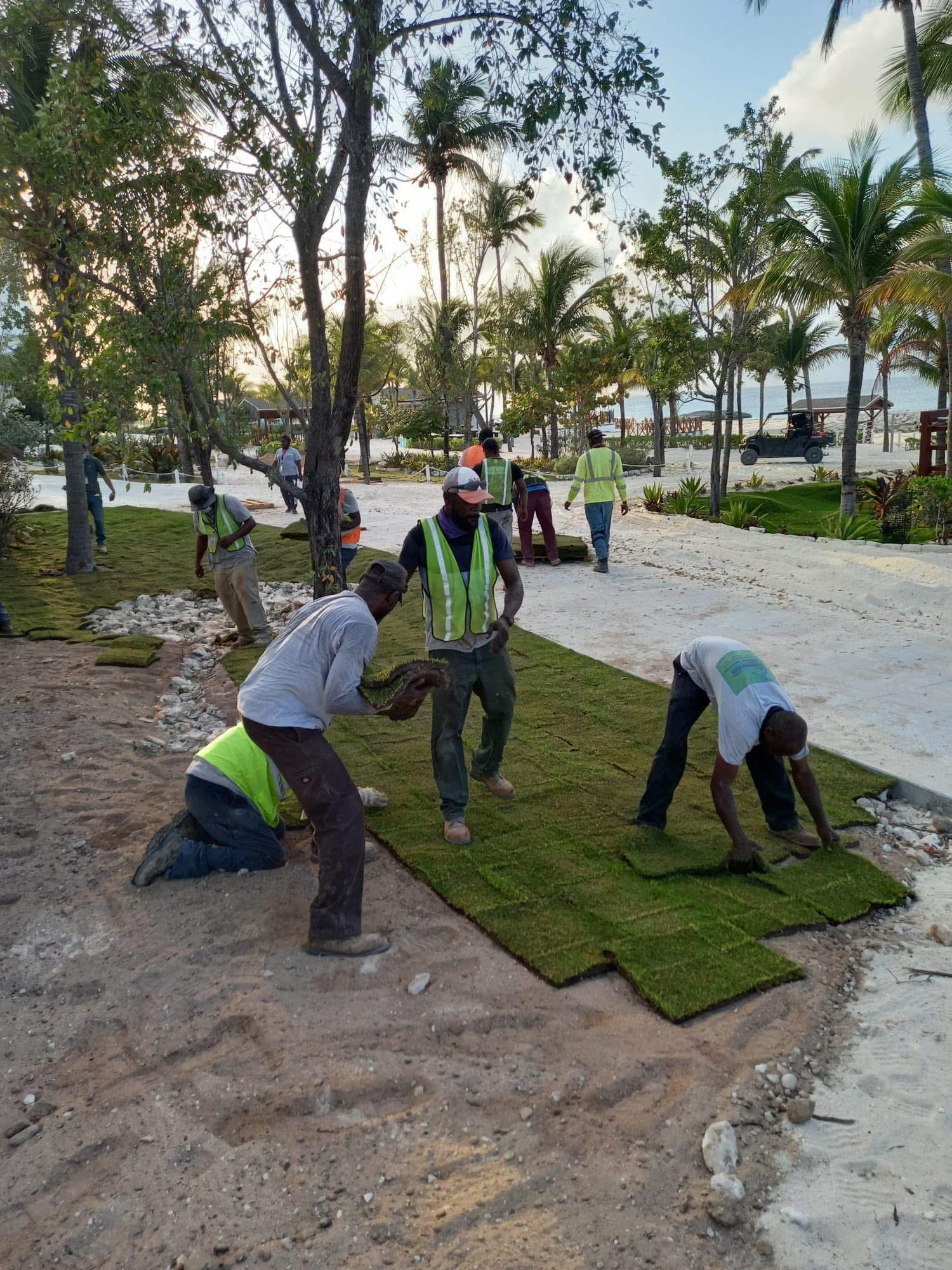 Turf & sod installation — Nassau